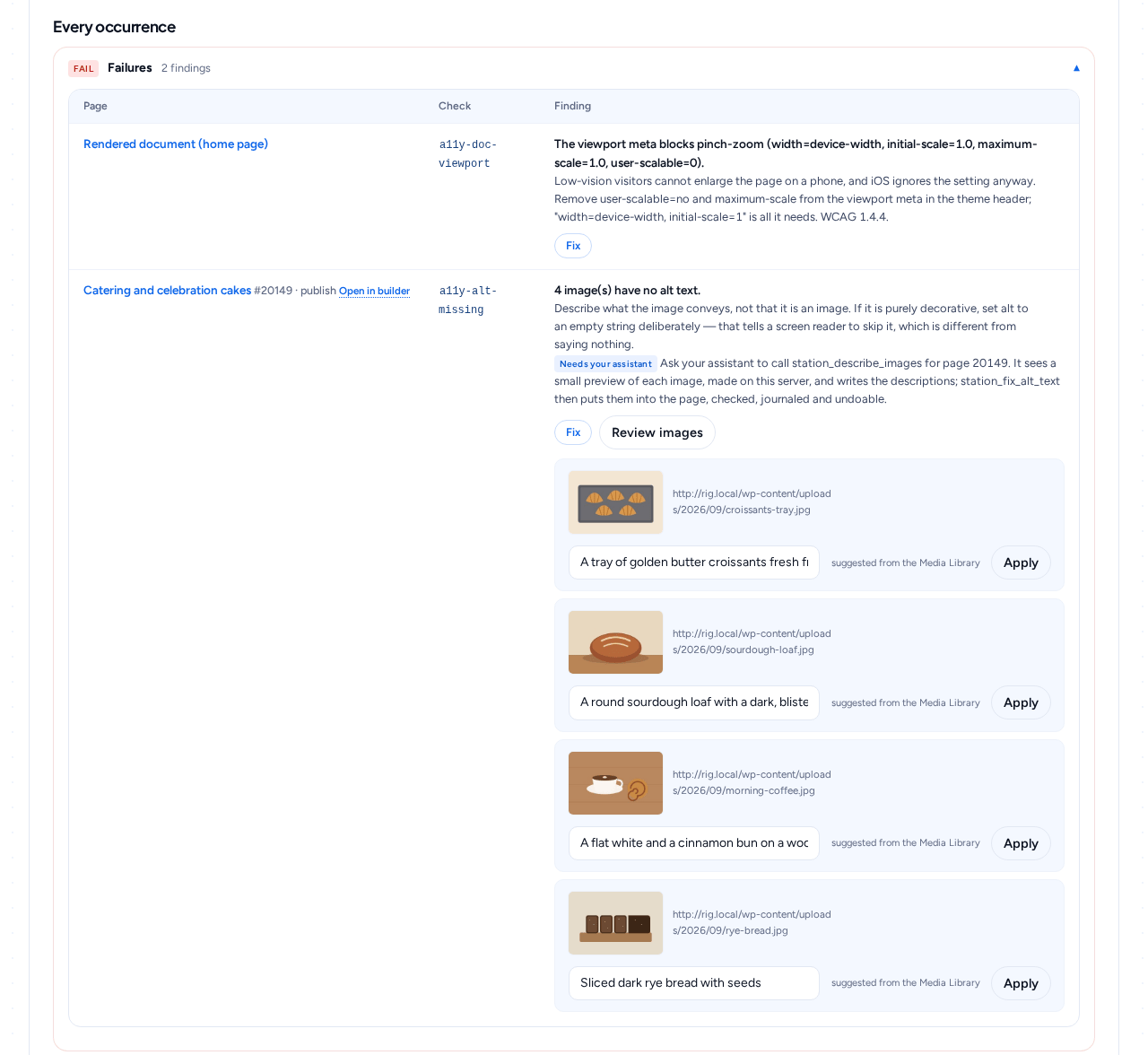 Checknaut 5.0.0 Accessibility: each finding names the page, the rule and the fix; alt text is suggested from the Media Library